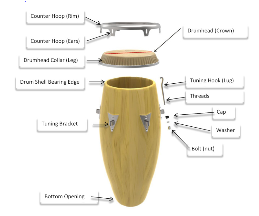 Drums Anatomy - Parts of a Drum Set Explained