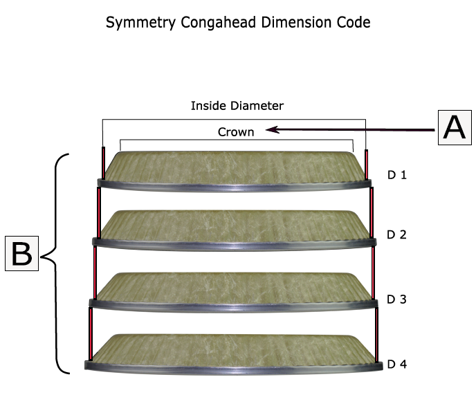 Symmetry Conga Drumheads The Difference Between D1/D2/D3/D4 Explained